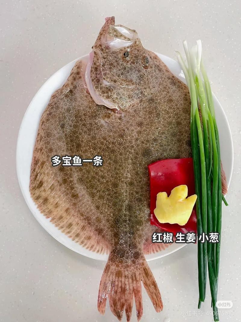 多寶魚可愛圖片【多寶魚——名貴的“海中雉雞”——多寶魚】 龍魚論壇 第23張 多寶魚可愛圖片【多寶魚——名貴的“海中雉雞”——多寶魚】 多寶魚可愛圖片【多寶魚——名貴的“海中雉雞”——多寶魚】 龍魚論壇 第23張