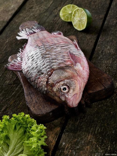 多寶魚可愛圖片【多寶魚——名貴的“海中雉雞”——多寶魚】 龍魚論壇 第25張 多寶魚可愛圖片【多寶魚——名貴的“海中雉雞”——多寶魚】 多寶魚可愛圖片【多寶魚——名貴的“海中雉雞”——多寶魚】 龍魚論壇 第25張