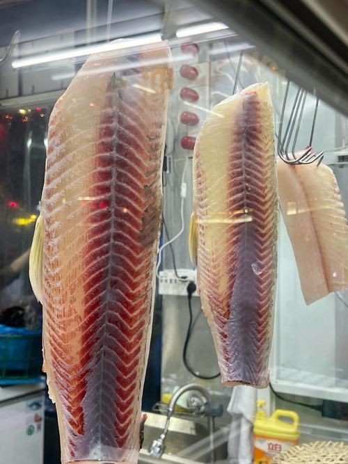 荔枝鳳冠魚圖片【荔枝鳳冠魚是一種極具特色的觀賞魚】
