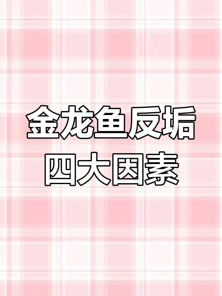 龍魚反垢期間應該如何護理？【金龍魚反垢原因分析:環境、光照和飼養技巧】