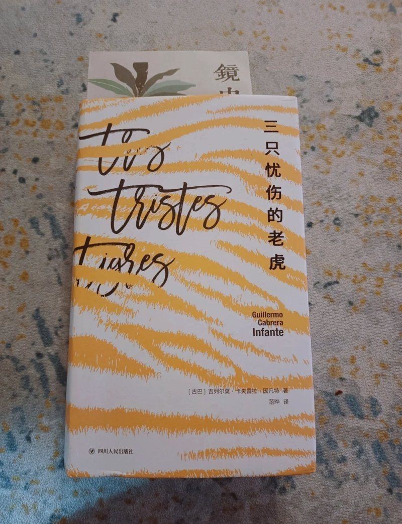 金老虎巴西亞最經典三個故事【《金老虎巴西亞最經典三個故事》】 金老虎巴西亞最經典三個故事【《金老虎巴西亞最經典三個故事》】 龍魚百科 第7張