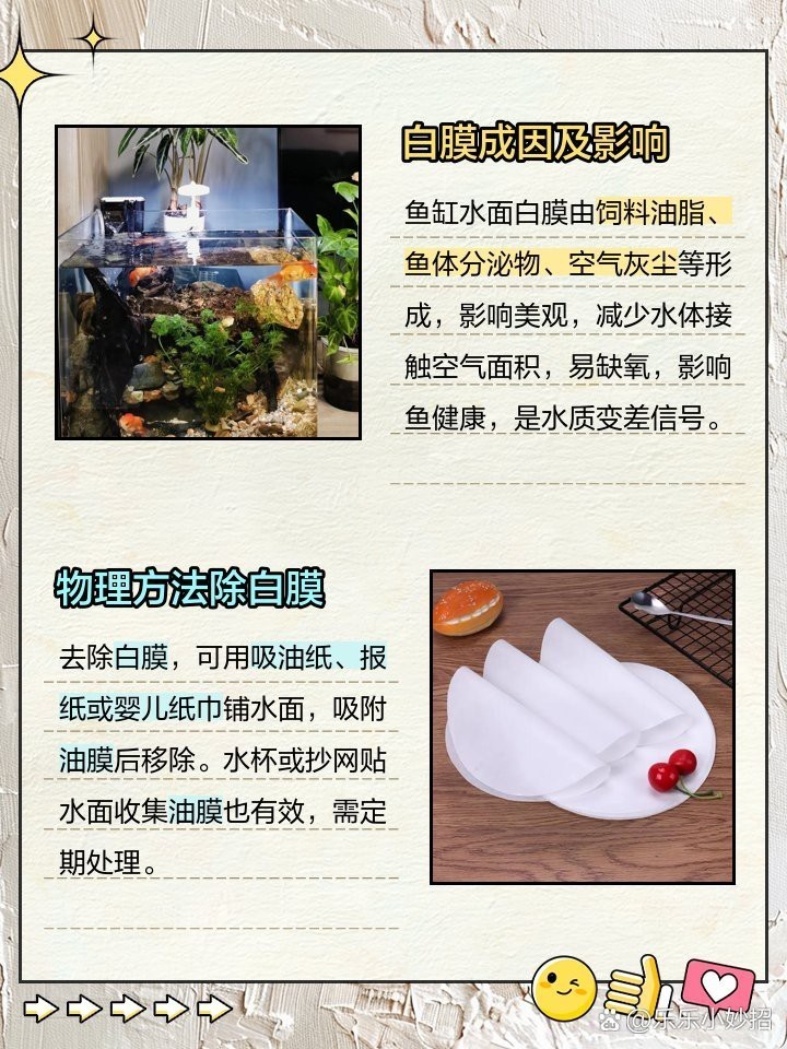 龍魚白膜最簡單三個步驟【\