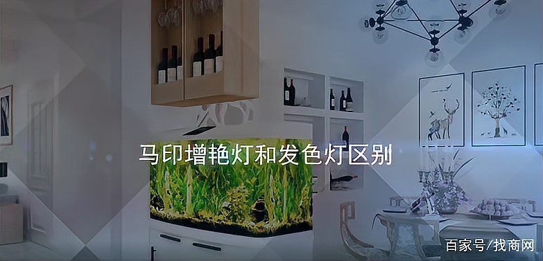 馬印燈和普通燈的區(qū)別【馬印燈與普通燈有什么區(qū)別】