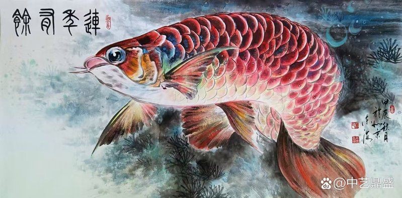 金龍魚的隱喻是什么