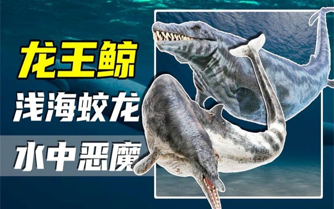 龍王鯨