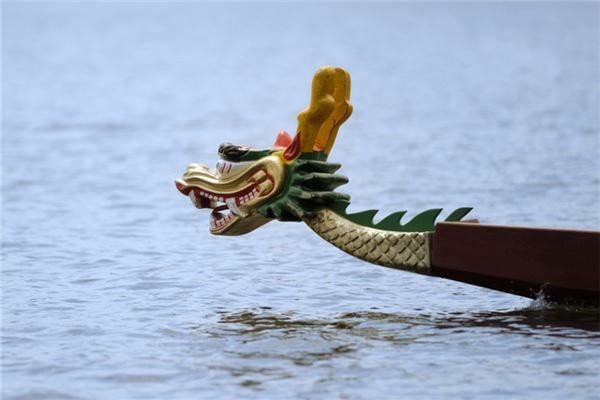 龍頭魚相克相宜的屬相【龍頭魚與生肖相克相宜的屬相在傳統(tǒng)觀念中有諸多說法】