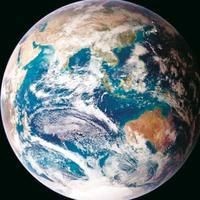 海洋動物名稱大全500種【海洋動物名稱大全】