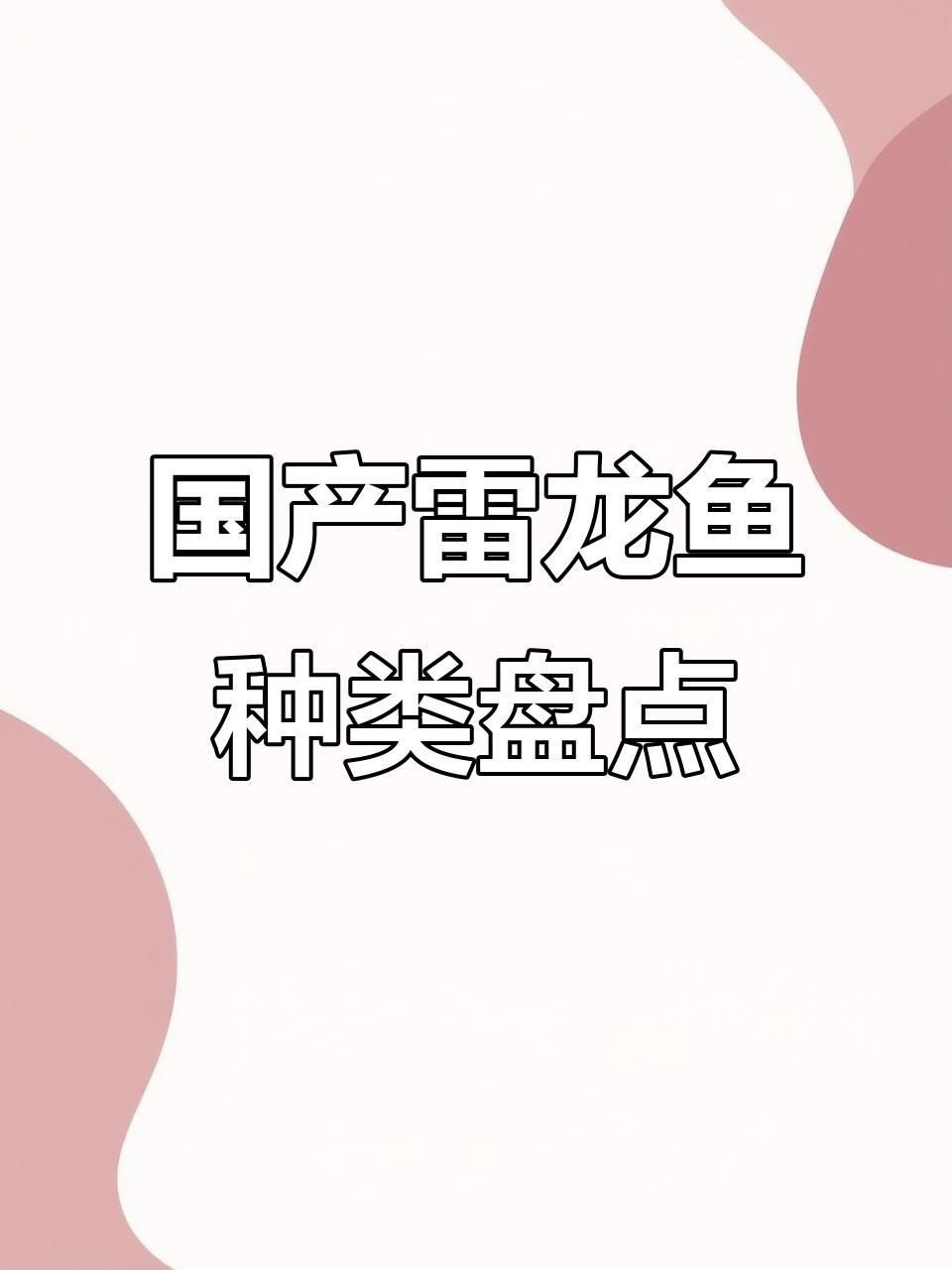 彩虹雷龍魚有哪些品種？【彩虹雷龍channagachua嗶哩養(yǎng)熱帶魚彩虹雷龍的分享】