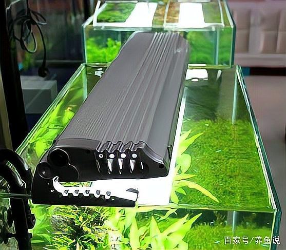 水草燈用燈管還是led【 水草燈用燈管還是led【\
