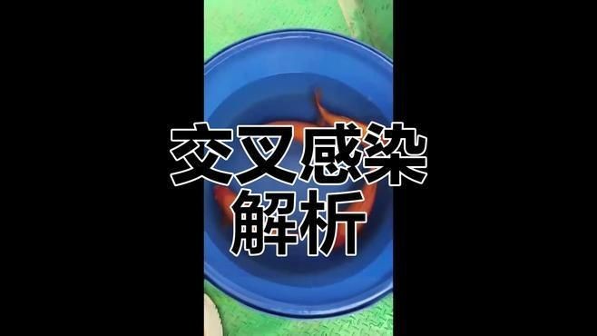 如何判斷魚是否交叉感染？【如何判斷魚類交叉感染的主要癥狀和方法】