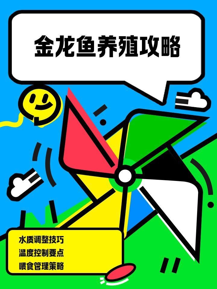 金龍魚日常飼養管理【《金龍魚日常飼養管理》】
