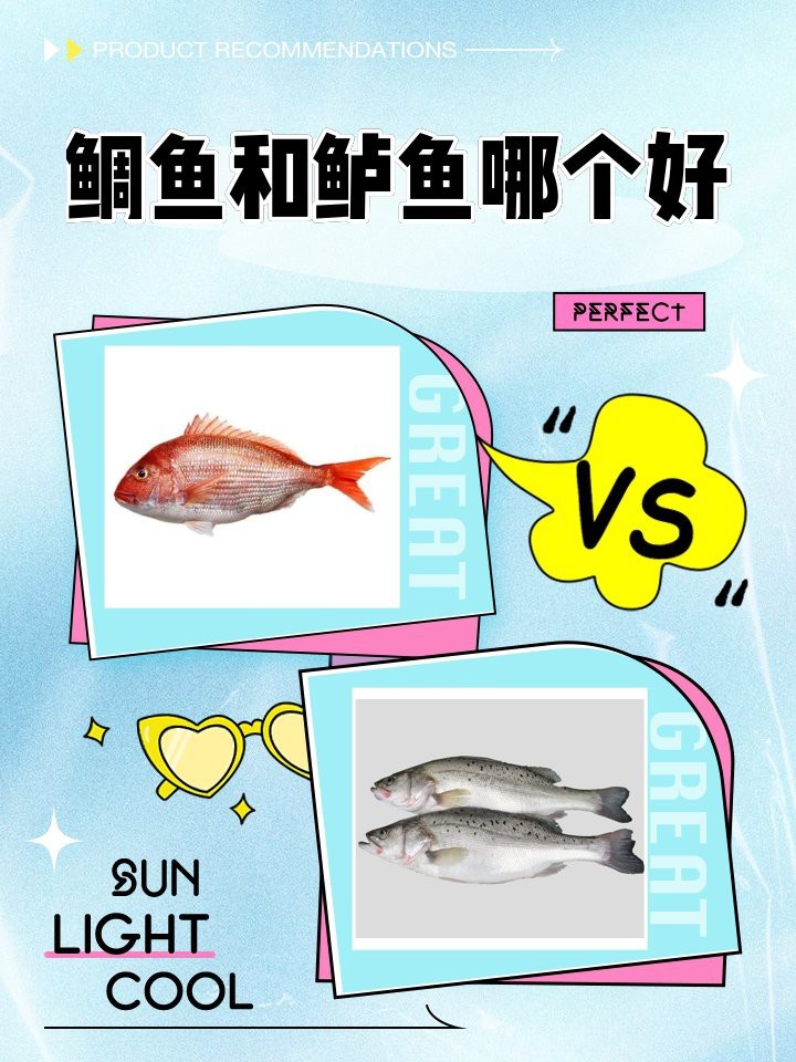 鯛魚和鱸魚哪個(gè)好【鱸魚和鯛魚哪個(gè)好】