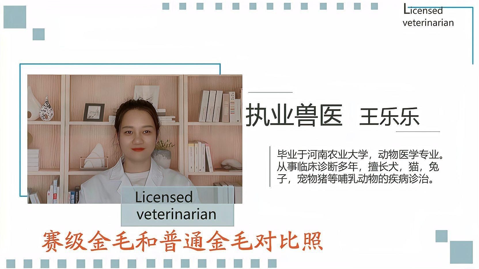 賽級(jí)犬和普通犬的區(qū)別【賽級(jí)犬與普通犬有什么區(qū)別，賽級(jí)犬與普通犬有何區(qū)別】