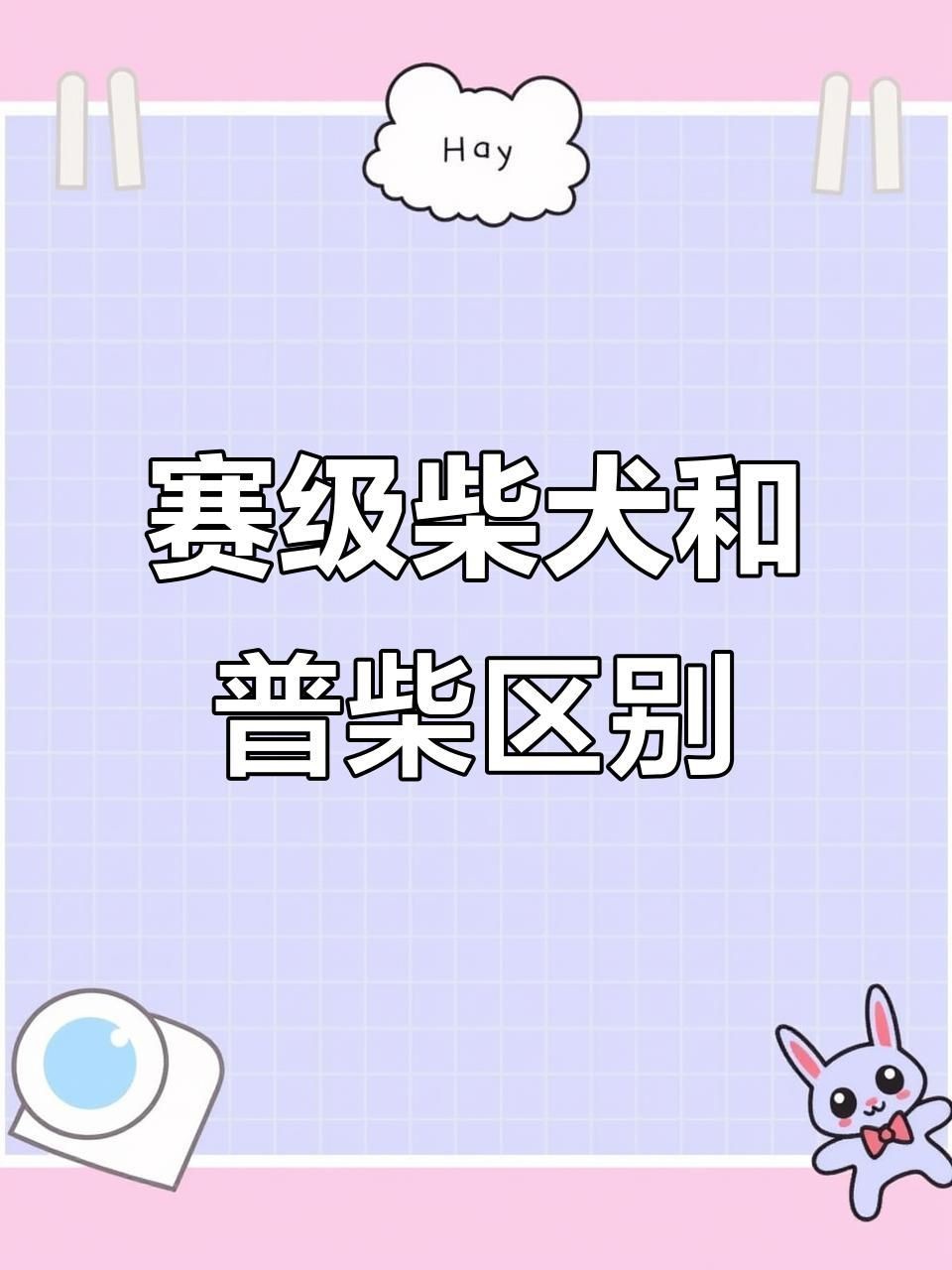 賽級(jí)犬和普通犬的區(qū)別【賽級(jí)犬與普通犬有什么區(qū)別，賽級(jí)犬與普通犬有何區(qū)別】