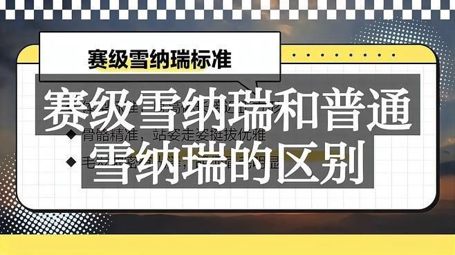 賽級(jí)犬和普通犬的區(qū)別【賽級(jí)犬與普通犬有什么區(qū)別，賽級(jí)犬與普通犬有何區(qū)別】