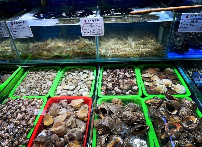 老虎斑魚價格多少一斤【老虎斑價格多少錢一斤】