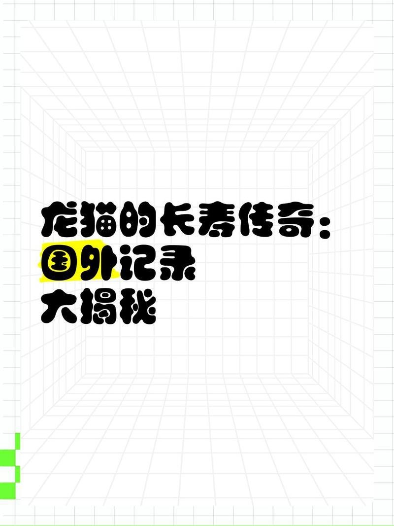 龍貓哪個品種壽命最長？【龍貓壽命一般多少年】