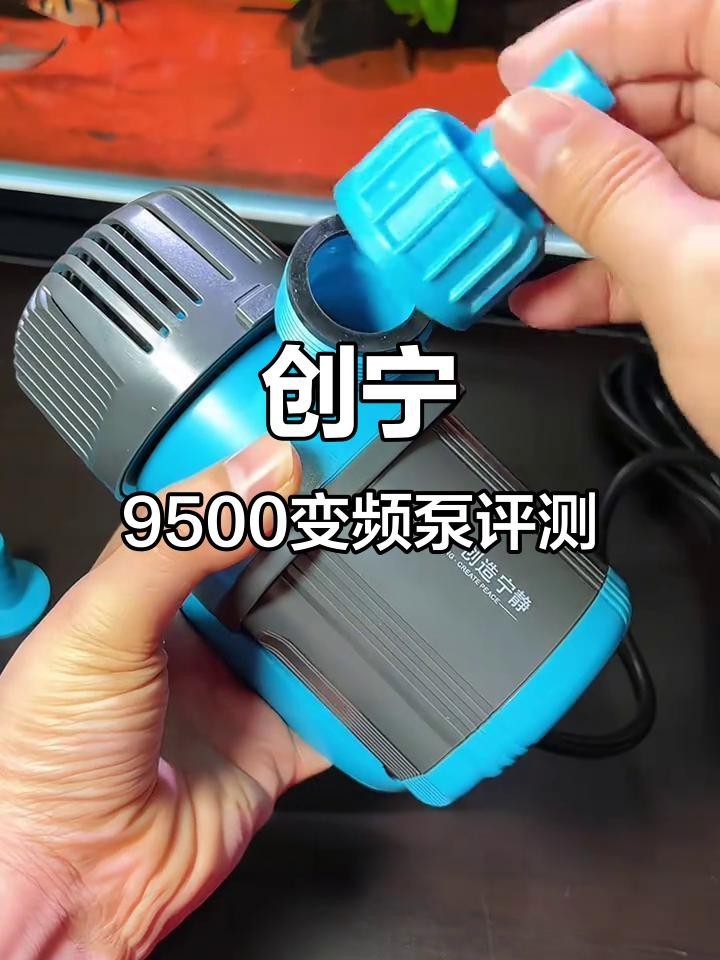 森森和創(chuàng)寧哪個好【怎么選這些品牌魚缸都是又好又耐用】