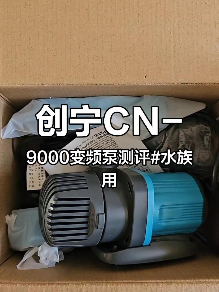 森森和創(chuàng)寧哪個好【怎么選這些品牌魚缸都是又好又耐用】