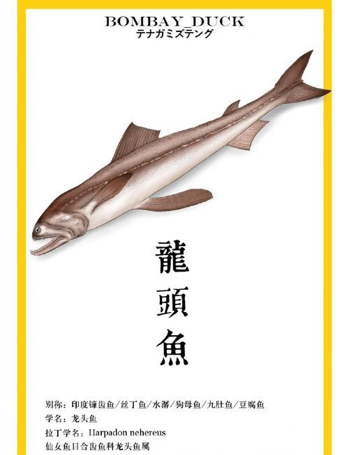龍頭魚身圖片【《神秘的龍頭魚身圖片》**】