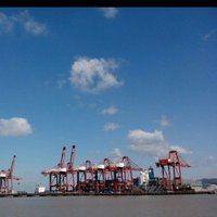 觀賞金龍魚圖片大全大圖【《觀賞金龍魚圖片大全大圖》】