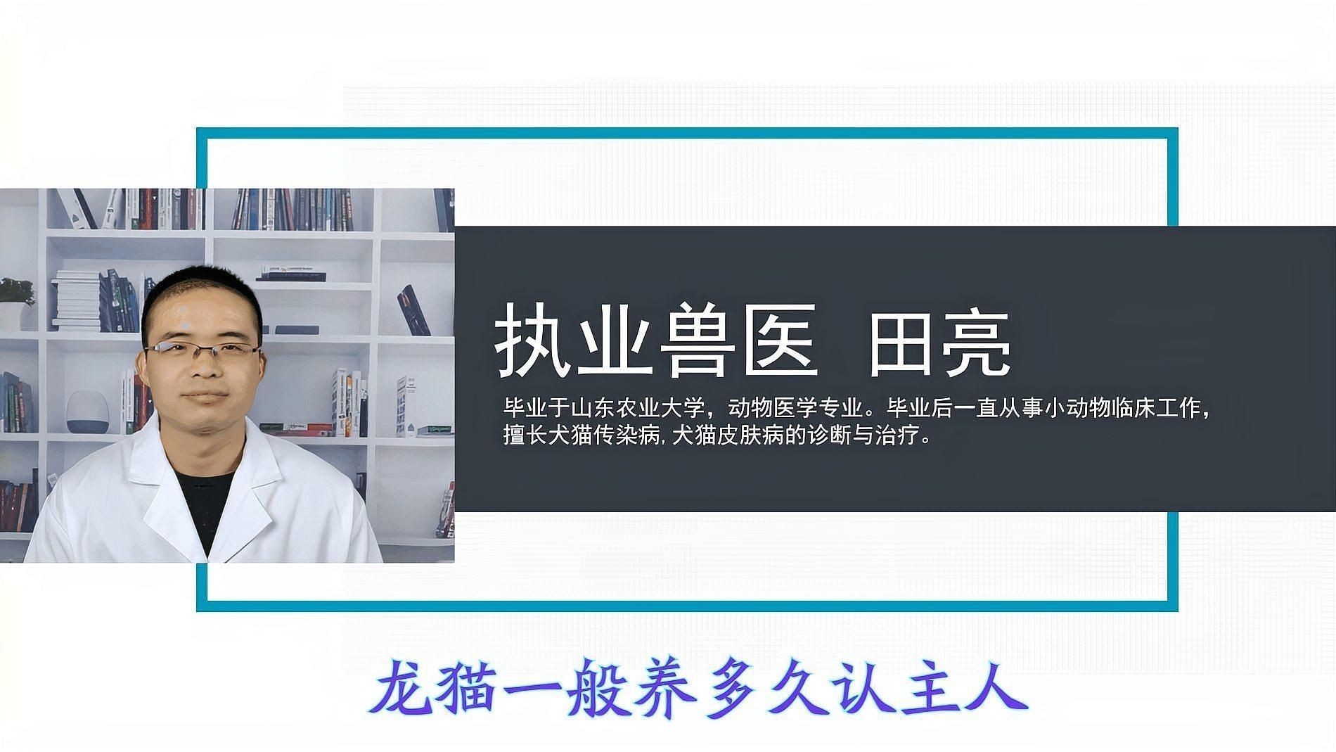 龍貓多久認(rèn)主人【龍貓一般養(yǎng)多久認(rèn)主人】