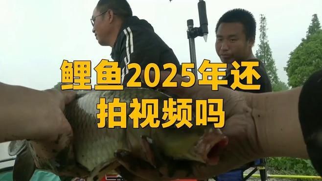 鯉魚(yú)2025新視頻【《鯉魚(yú)2025新視頻》全新視覺(jué)體驗(yàn)】