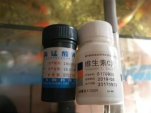 觀賞魚用鹽有什么要求嗎【觀賞魚用鹽多久換一次觀賞魚用鹽的正確做法是什么】