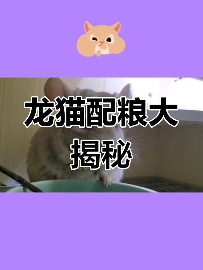 龍貓的主糧有哪些推薦？【貓的主糧推薦包括以下幾種：**專用龍貓糧】