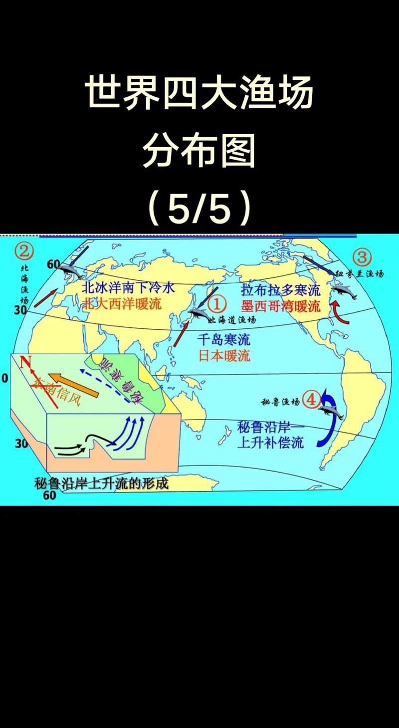 四大漁場位置圖【世界四大漁場與世界四大漁場的生態密碼與人文啟示】 四大漁場位置圖【世界四大漁場與世界四大漁場的生態密碼與人文啟示】 龍魚論壇 第5張