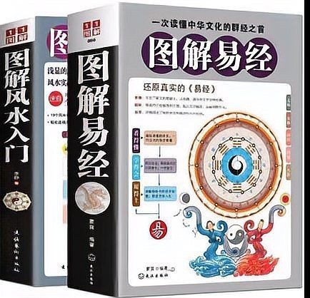 龍擺件放魚缸里是吉是兇【擺件放魚缸里的吉兇說法不一需綜合多方面因素考量】