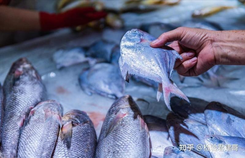 龍頭魚的害處【龍頭魚的健康危害】