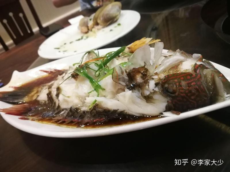 石九公為何盡量少吃【石九公為何盡量少吃石九公魚（學名synanceiaverrucosa）】