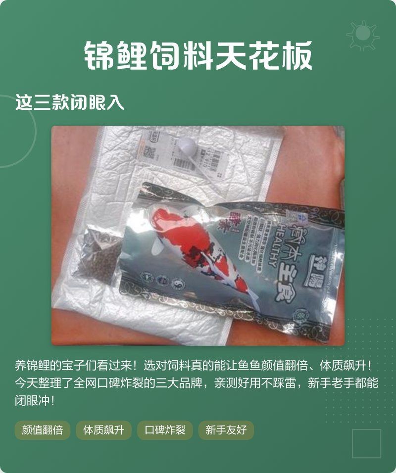 錦鯉最好三個(gè)品牌