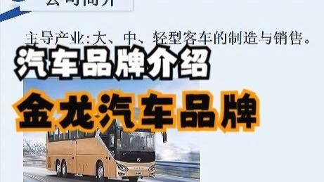 金龍集團公司簡介【《金龍集團公司簡介》】