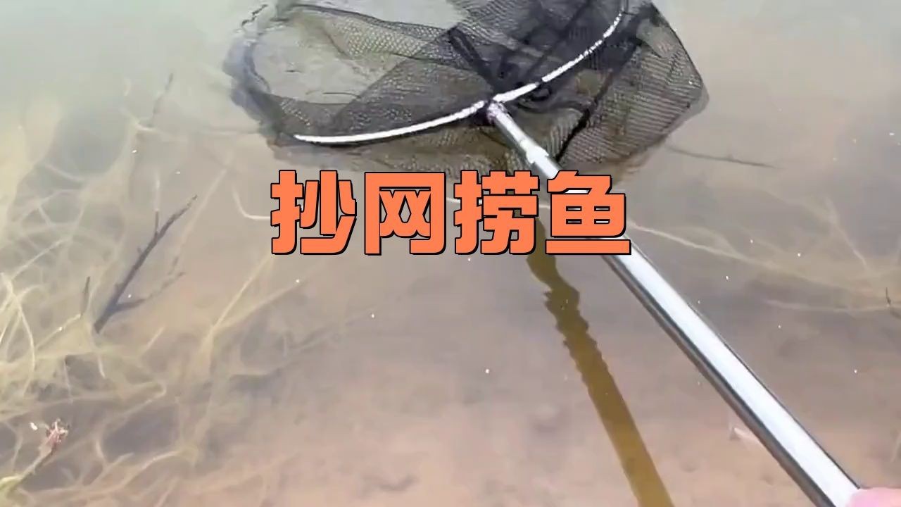 撈魚(yú)抄網(wǎng)【撈魚(yú)抄網(wǎng)——傳統(tǒng)漁具的實(shí)用與魅力】