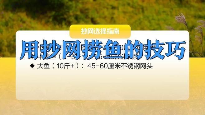 撈魚(yú)抄網(wǎng)【撈魚(yú)抄網(wǎng)——傳統(tǒng)漁具的實(shí)用與魅力】
