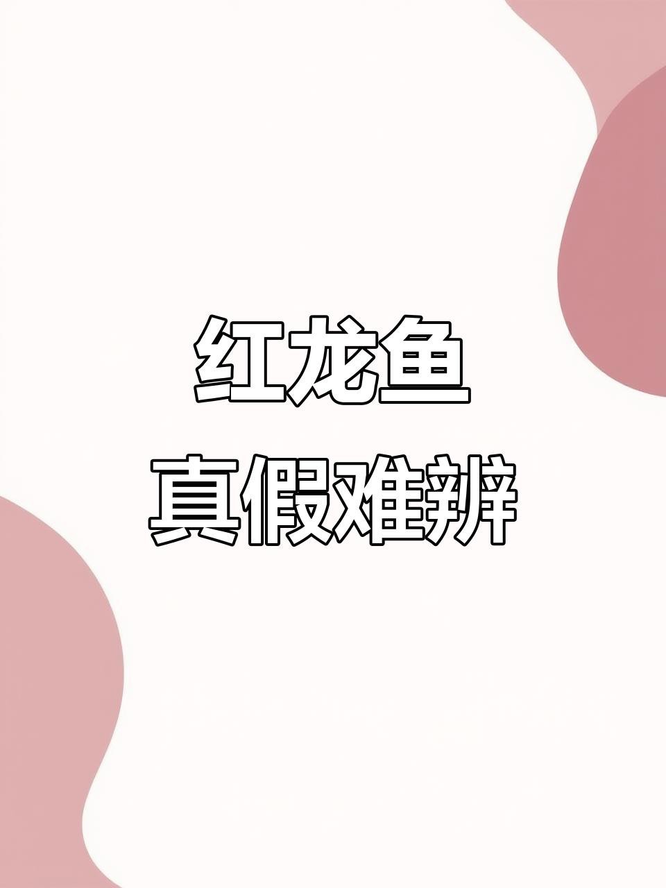 如何辨別真假紅龍魚？【嗶哩嗶哩龍魚發(fā)色騙局揭秘真假紅龍魚發(fā)色騙局揭秘】