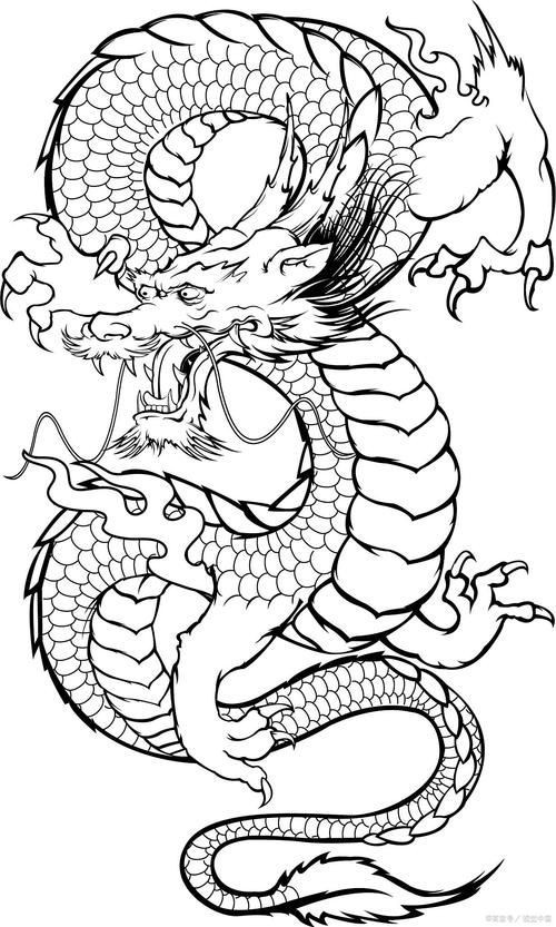 龍的簡筆畫【新手必看簡筆畫教程】