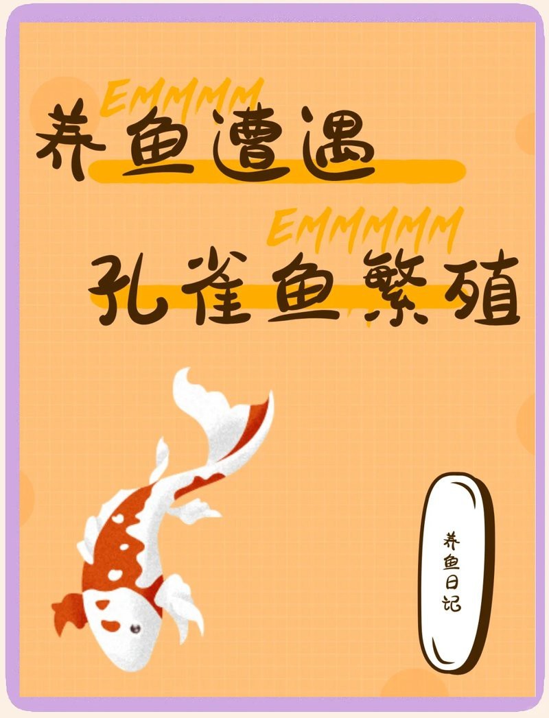 孔雀魚生一個吃一個【\