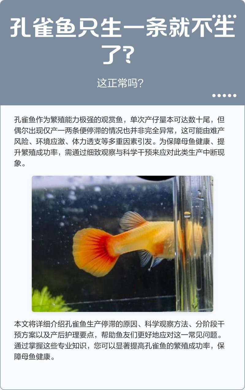 孔雀魚生一個吃一個【\