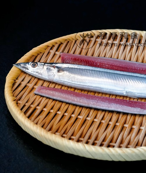 刀魚的圖片【《刀魚：獨特魚類的視覺呈現》】