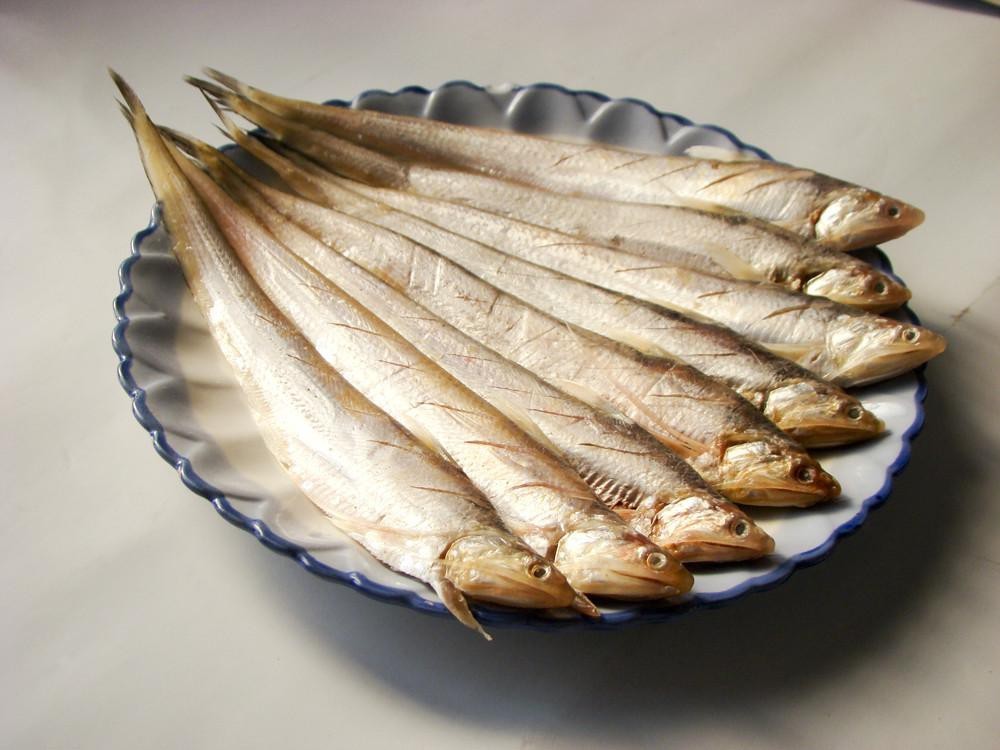 刀魚的圖片【《刀魚：獨特魚類的視覺呈現》】