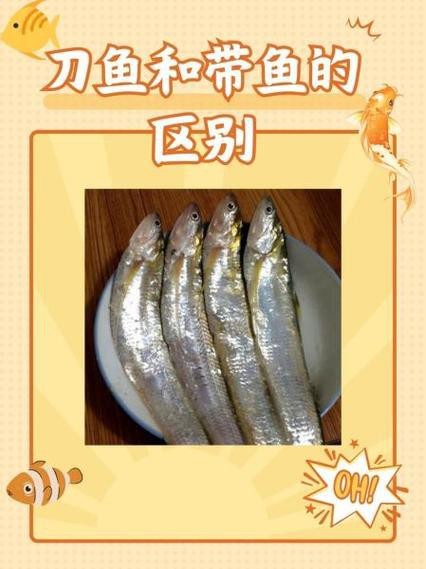 刀魚的圖片【《刀魚：獨特魚類的視覺呈現》】