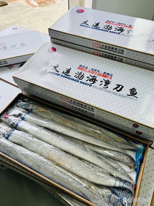 刀魚的圖片【《刀魚：獨特魚類的視覺呈現》】