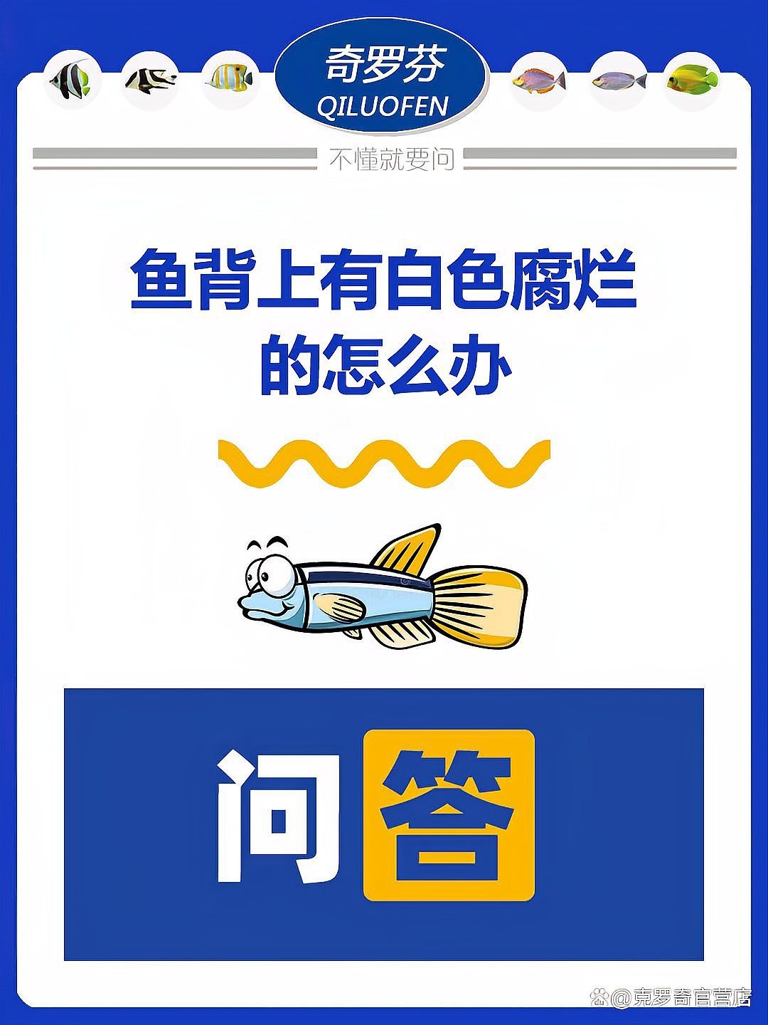 德系皮鯉發(fā)白【德系皮鯉體色發(fā)白怎么辦】