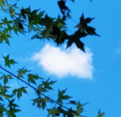 紅龍寓意什么【紅龍的寓意在中國文化中的祥瑞象征到西方神話中的力量】
