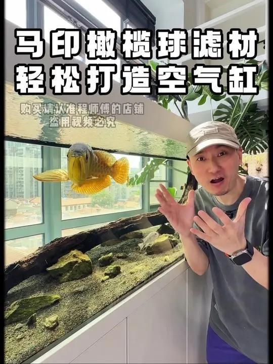 馬印橄欖球濾材好嗎？【馬印橄欖球濾材怎么樣】