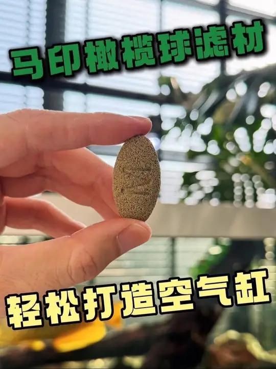 馬印橄欖球濾材好嗎？【馬印橄欖球濾材怎么樣】