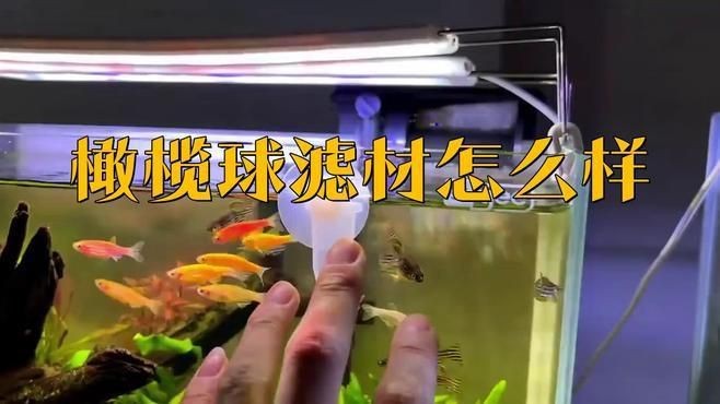 馬印橄欖球濾材好嗎？【馬印橄欖球濾材怎么樣】